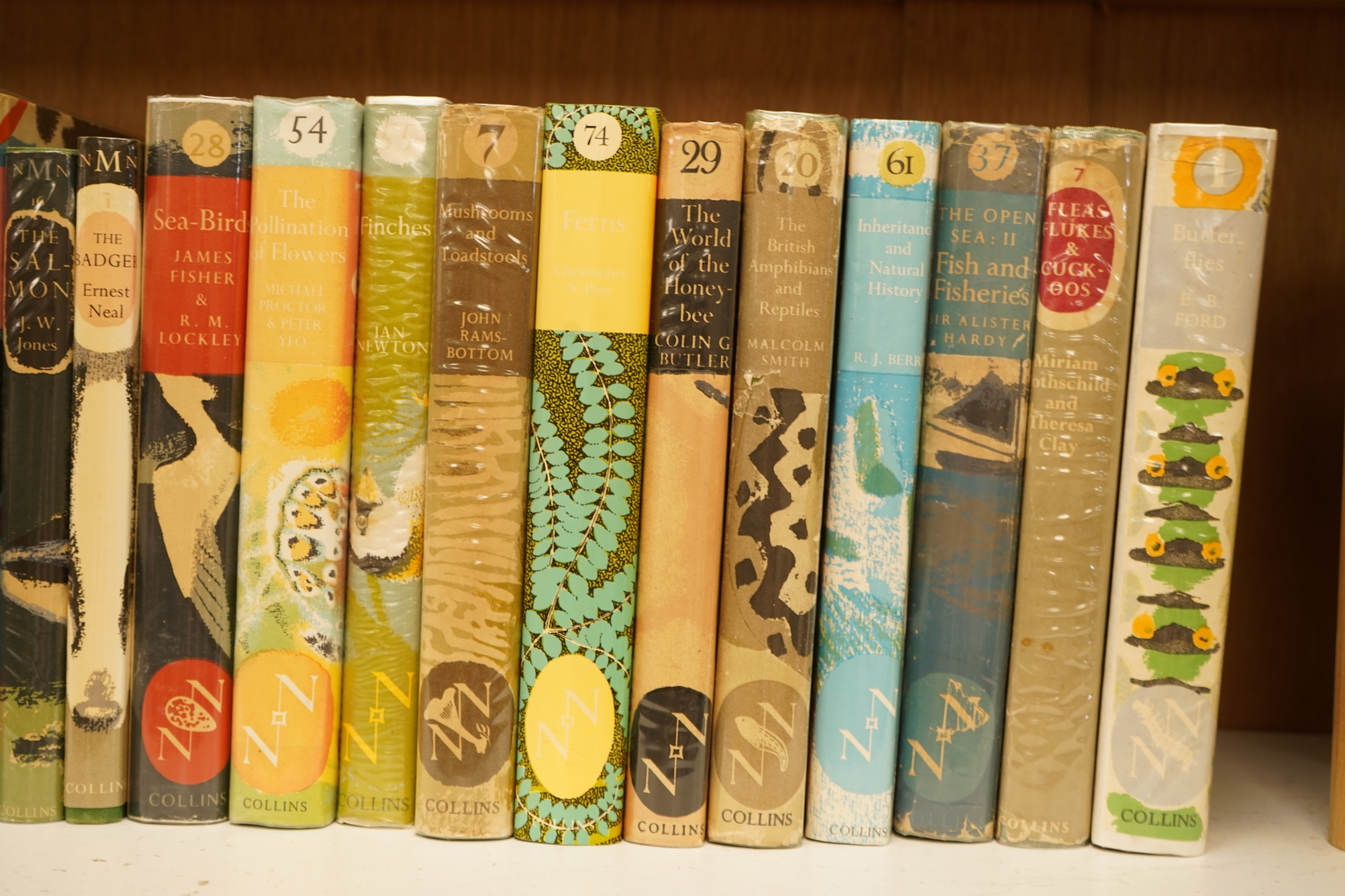 Collins New Naturalist Series - 38 various vols. from no.1 (1945) to no.85 (1999); coloured plates and many other illus., 20 are with d/wrappers